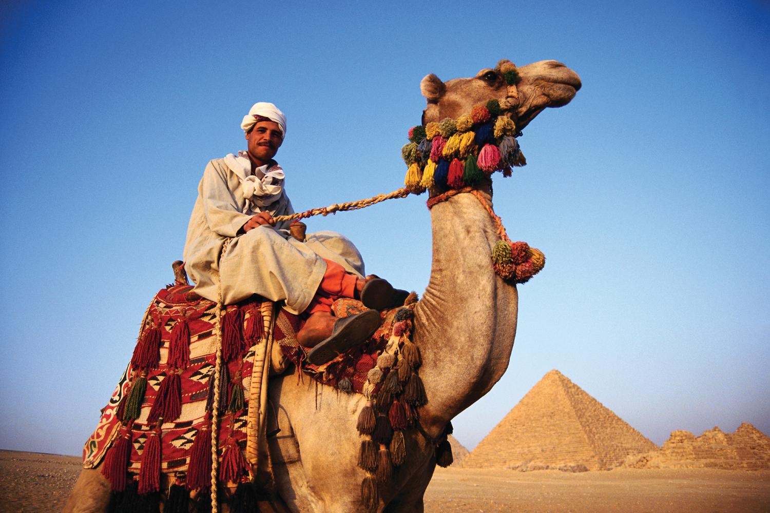 Man on camel in Egypt