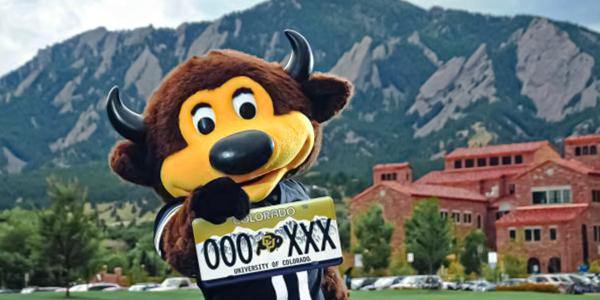 Chip holding a CU Boulder license plate