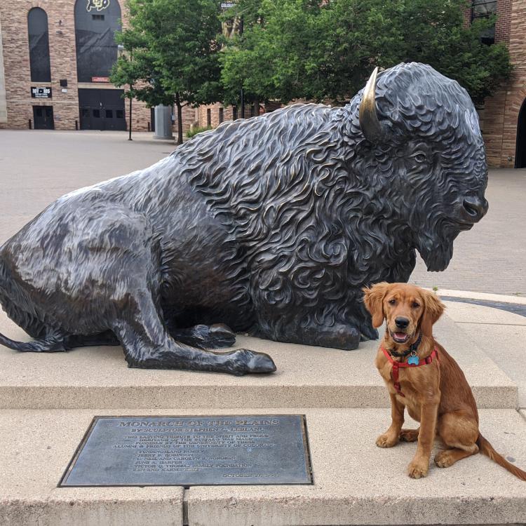 Dog and Ralphie statue