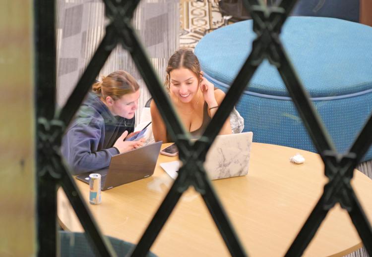 Students studying at Norlin Library