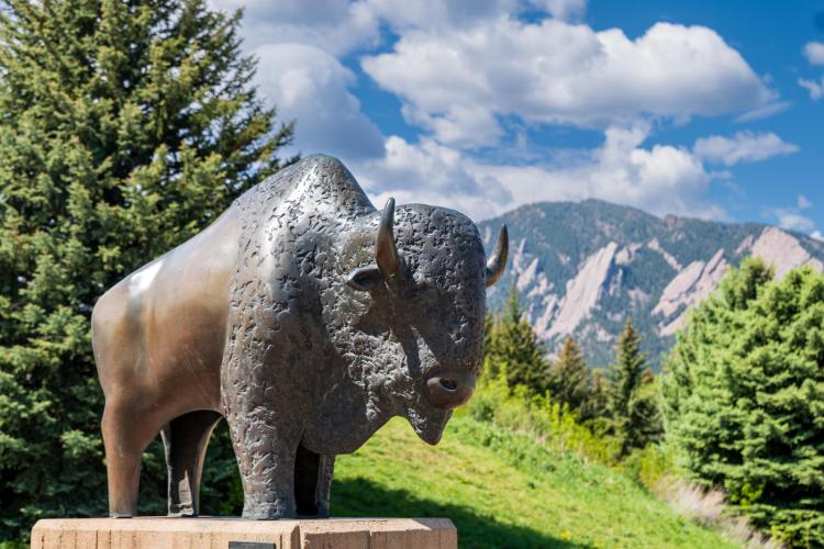 Buffalo statue Class Gift