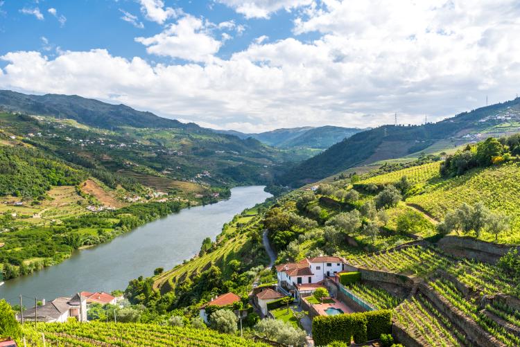 Romance of the Douro 2026