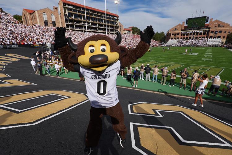 Chip at a football game