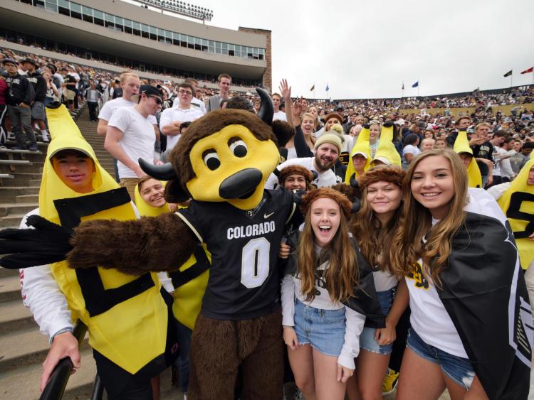 Football fans with Chip