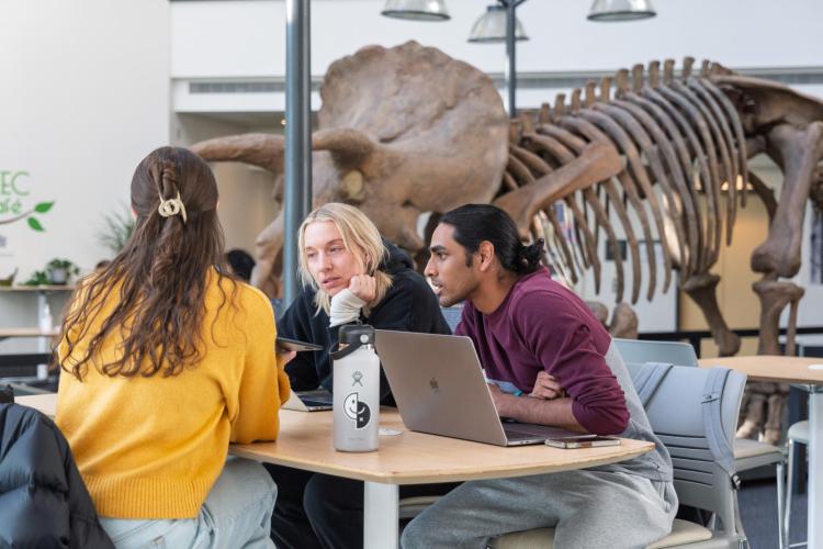 A study group