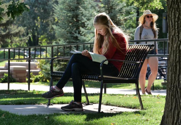 Student reading on a bench