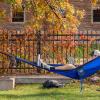 A student relaxing in a hammock