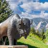 Buffalo statue Class Gift