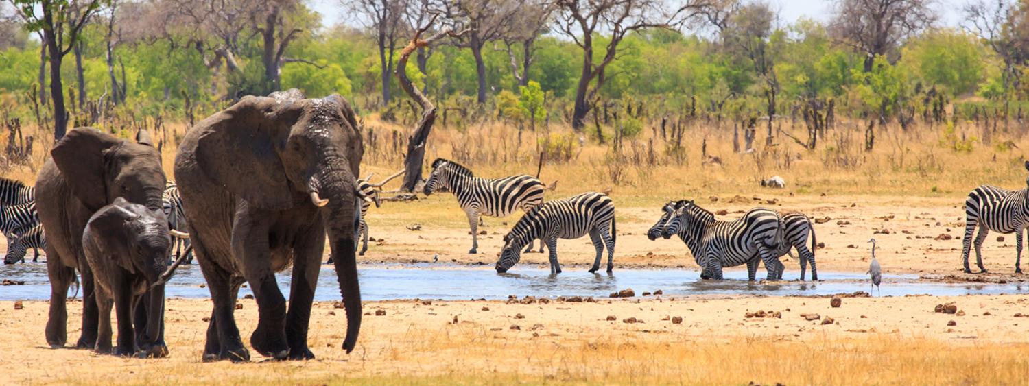 Journey to Southern Africa
