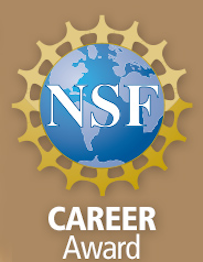 NSF CAREER Award