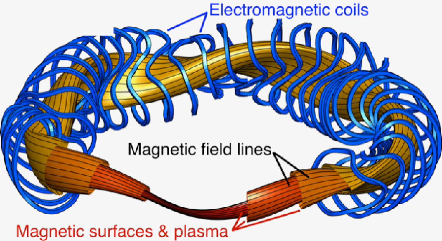 Stellarator mathematical model with magnetic lines shown