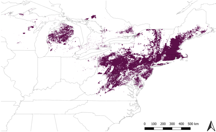 Map of spongy moth defoliation in the USA and Ontario, Canada, from 1975 - 2019.