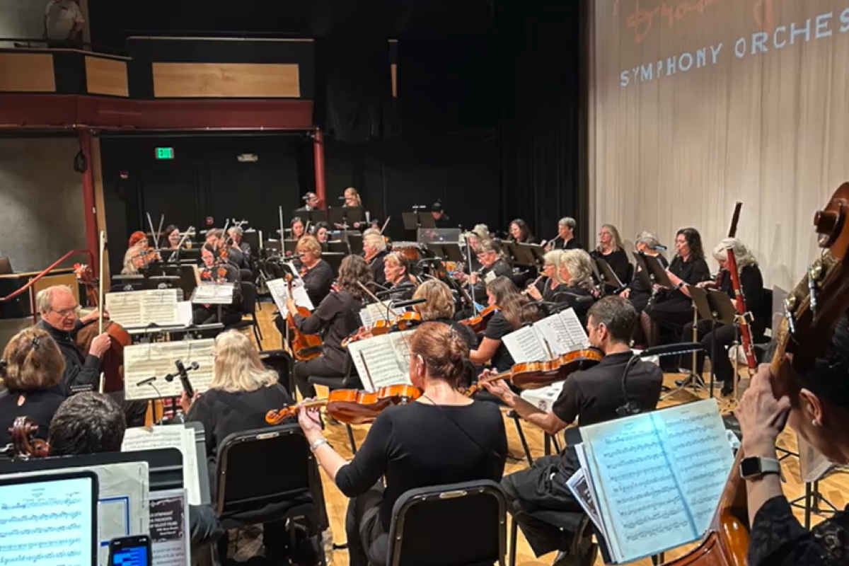 Variable Orchestra