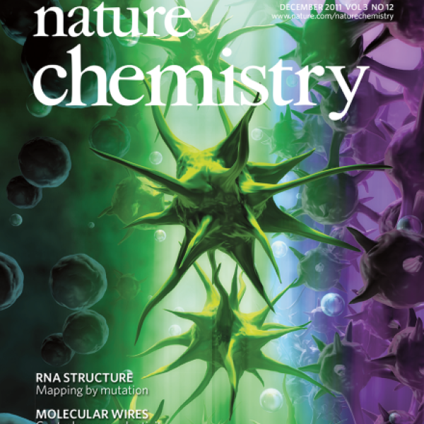 Front Cover: C.A. DeForest and K.S. Anseth, Nat Chem, 3 (12), 2011