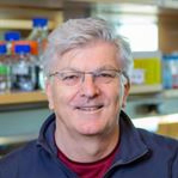 Prof. Peter Dempsey