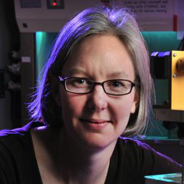 Professor Stephanie Bryant