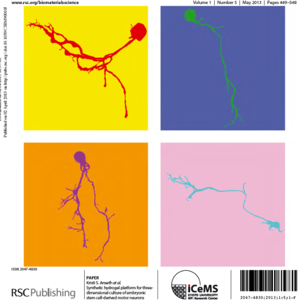 Front Cover: D.D. McKinnon et al., Biomat Sci, 1 (5), 2013