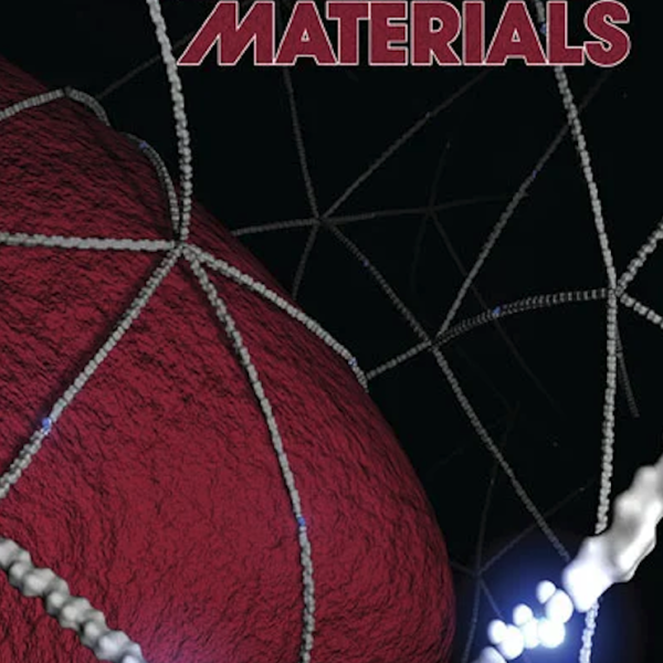 Front Cover: D.D. McKinnon et al., Adv Mat, 26 (6), 2014