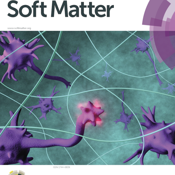 Front Cover: D.D. McKinnon et al. Soft Matter, 10 (46), 2014