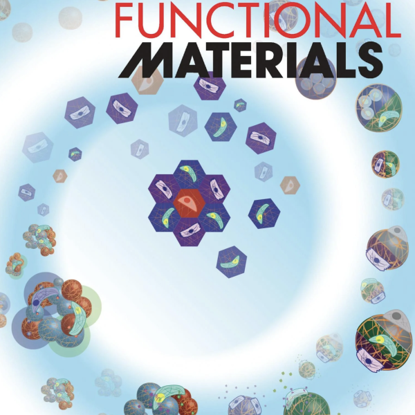 Front Cover: A.S. Caldwell et al., Adv Fun Mat, 30 (37), 2020