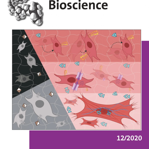Front Cover: H. Ma et al., Macromol Biosci, 20 (12), 2020
