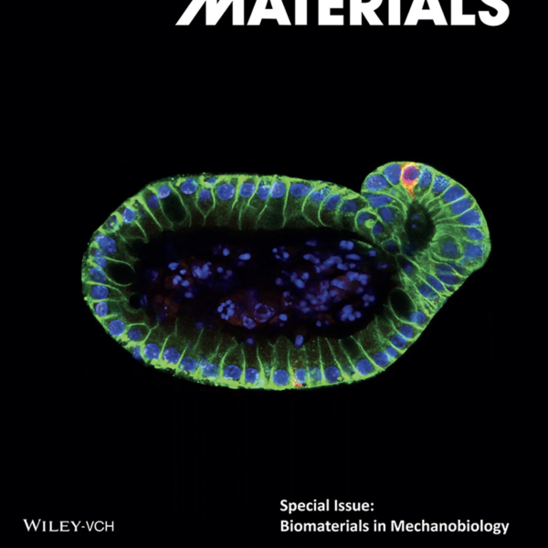 Front Cover: E. Hushka et al. Adv Health Mat, 9 (8), 2020