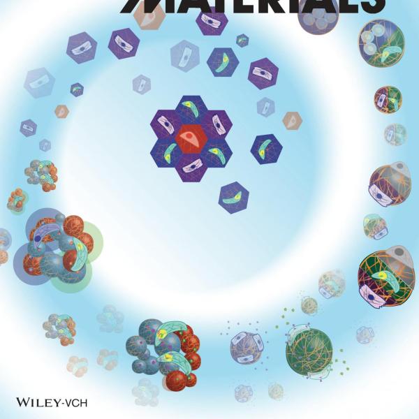 Front Cover: A.S. Caldwell et al., Adv Fun Mat, 30 (37), 2020