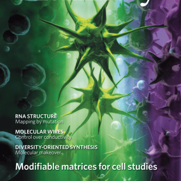 Front Cover: C.A. DeForest and K.S. Anseth, Nat Chem, 3 (12), 2011