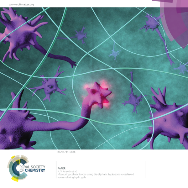 Front Cover: D.D. McKinnon et al. Soft Matter, 10 (46), 2014