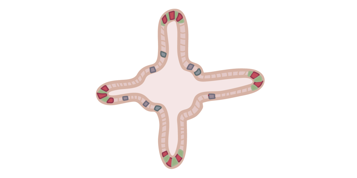 Engineered organoid