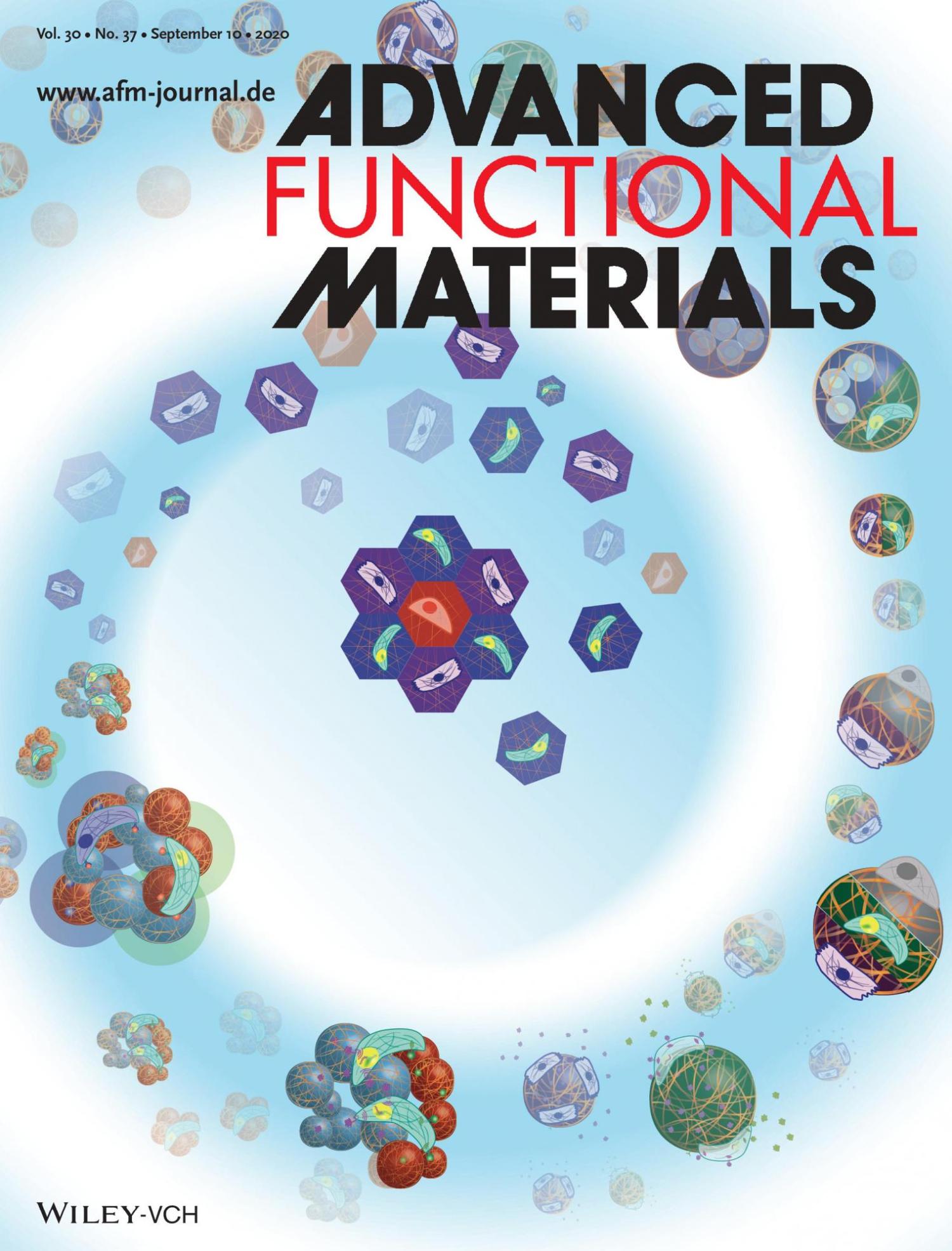 A.S. Caldwell, B.A. Aguado and K.S. Anseth, "Designing Microgels for Cell Culture and Controlled Assembly of Tissue Microenvironments," Advanced Functional Materials (https://doi.org/10.1002/adfm.201907670)