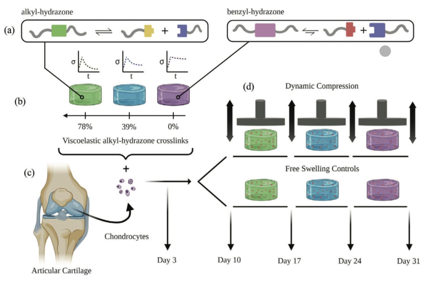 Dynamic loading schematic