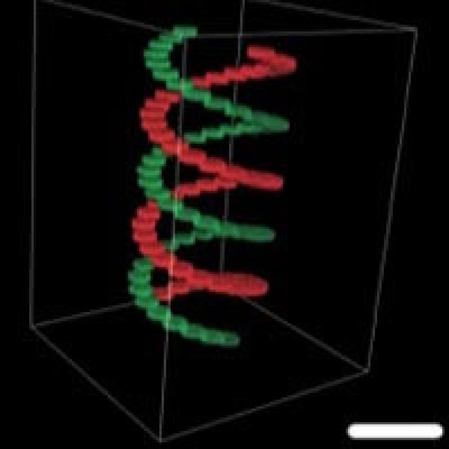 Photoreversible Patterning of Biomolecules within Click-Based Hydrogels