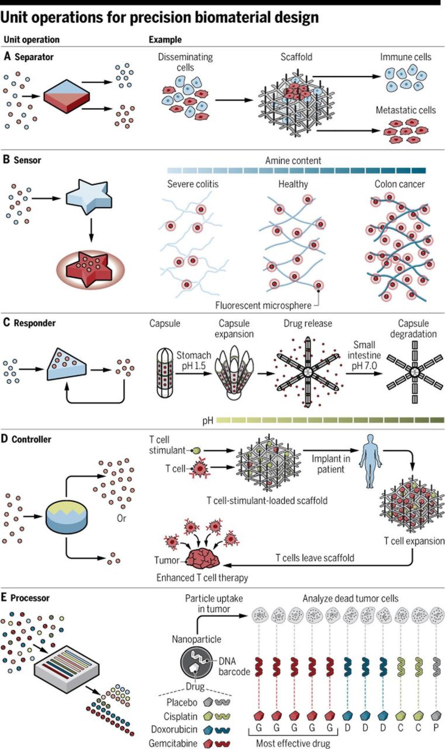 Unit operations for precision biomaterial design