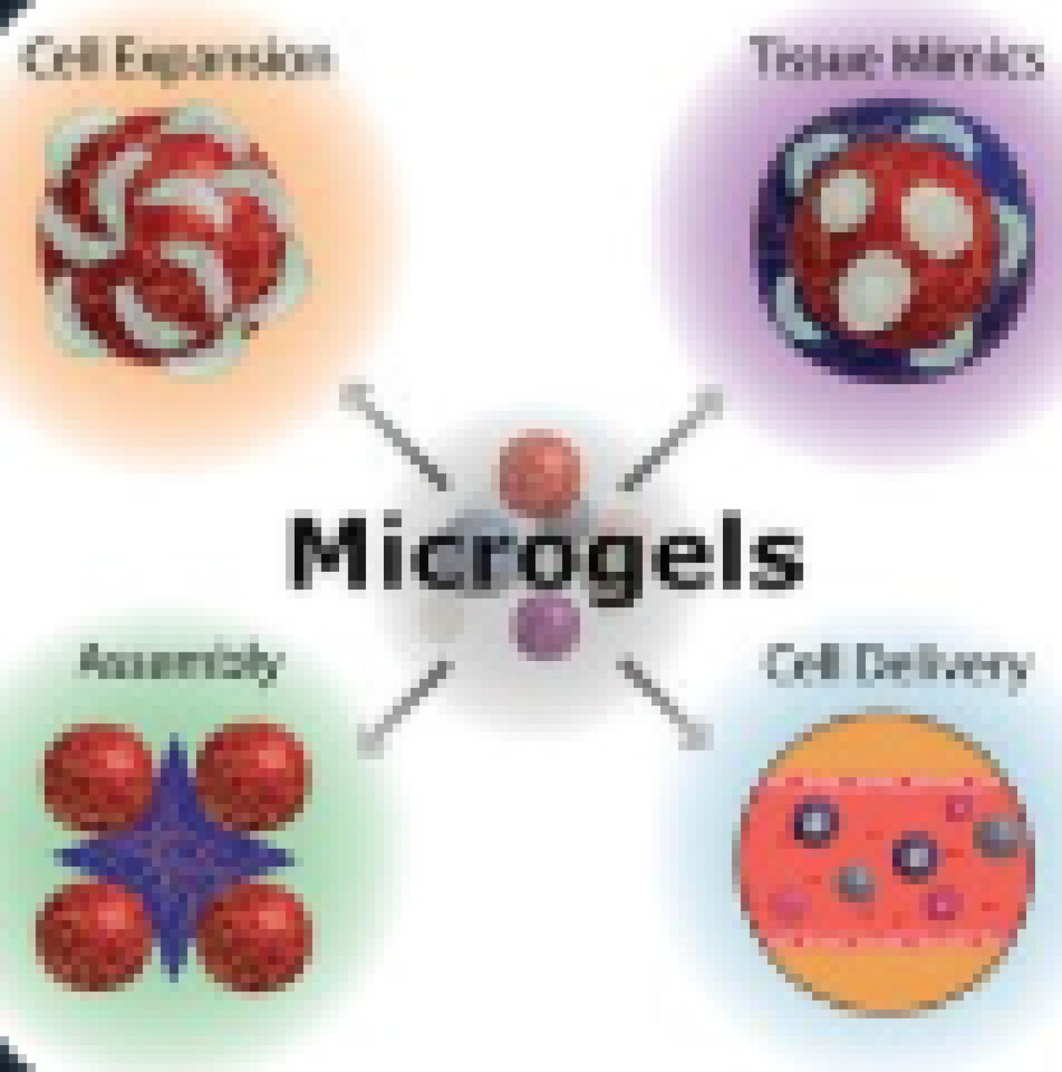 Microgel