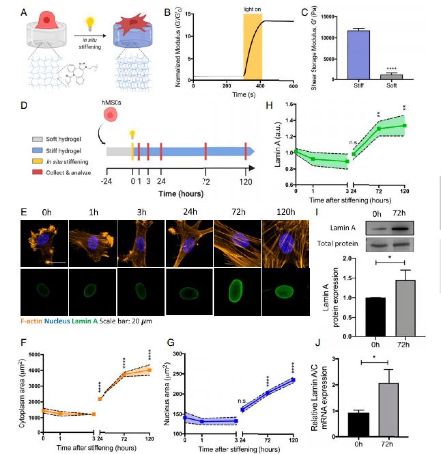 PNAS 2020