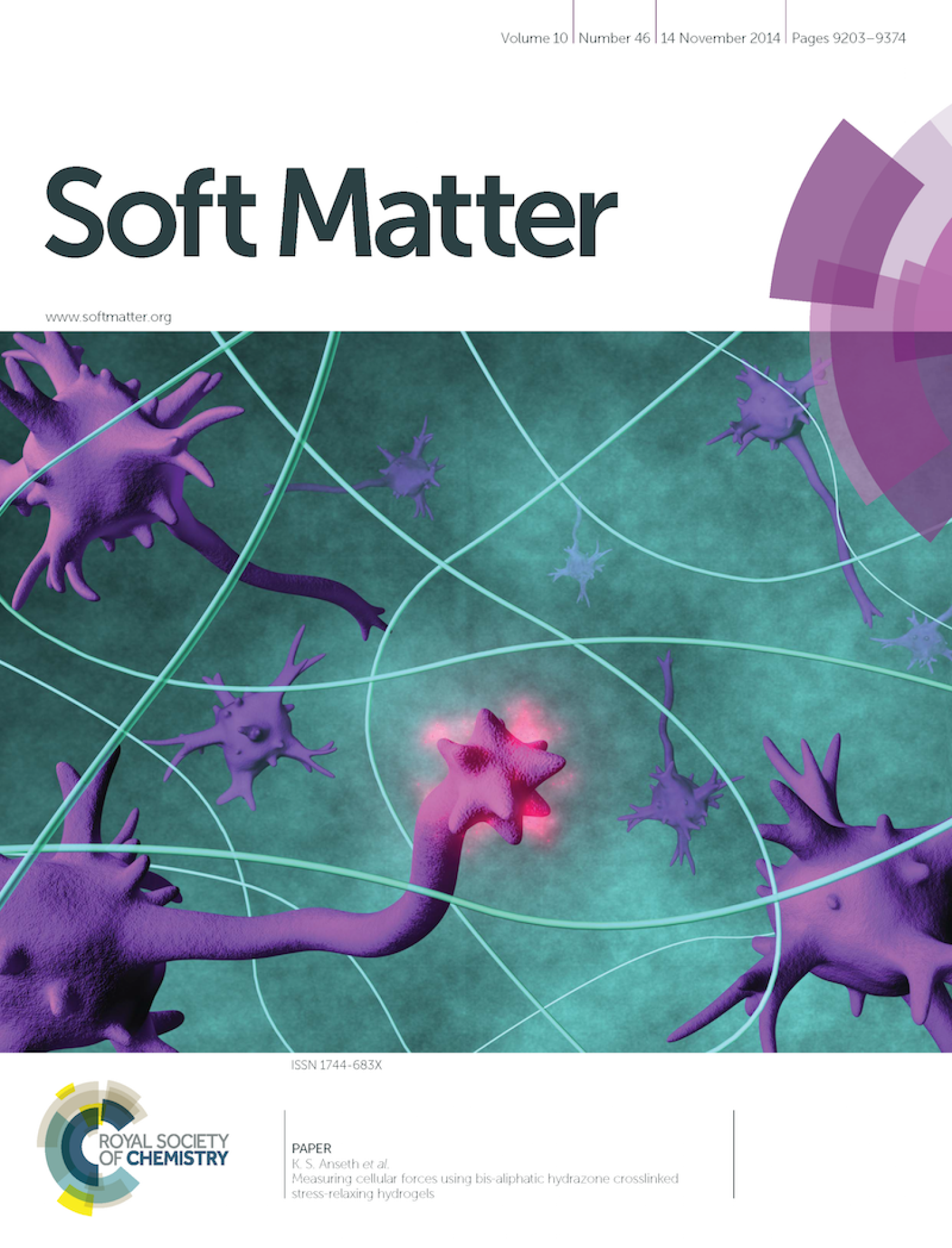Soft matter cover