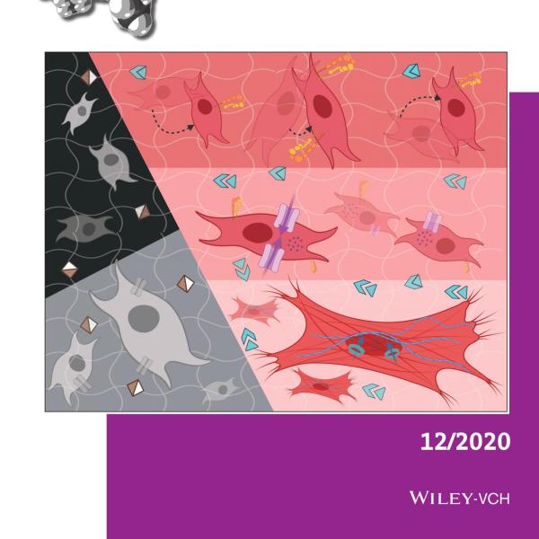 Front Cover: H. Ma et al., Macromol Biosci, 20 (12), 2020