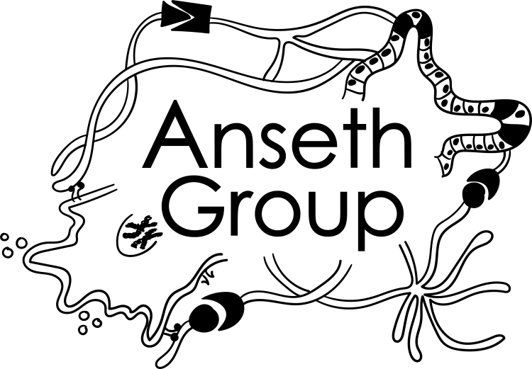 Anseth research schematic