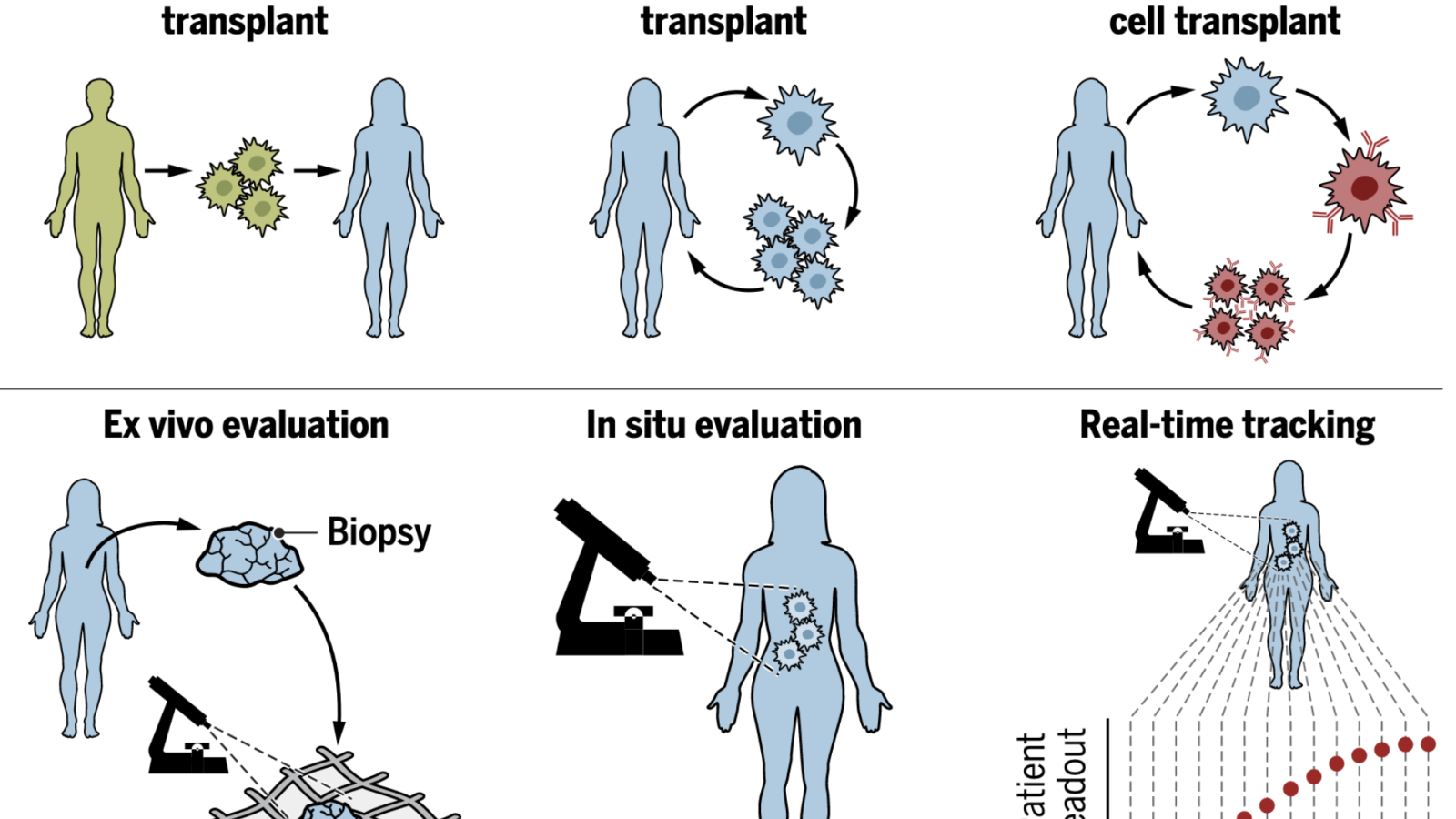 Example criteria for precision biomaterial design