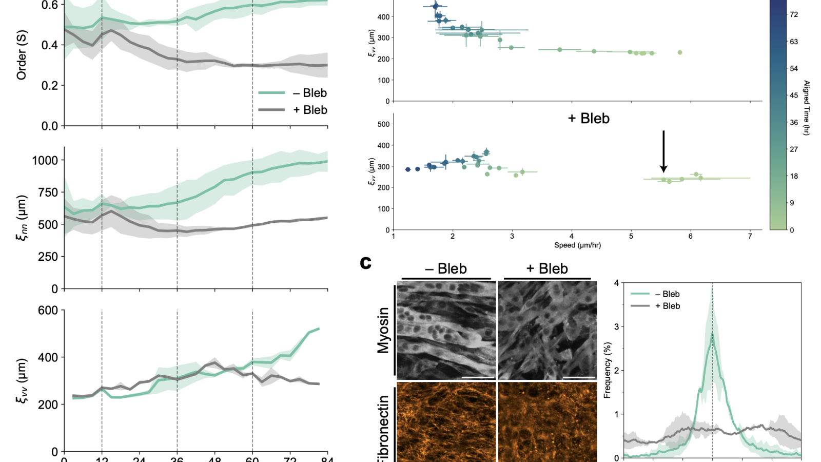 Reciprocal cell-ECM dynamics mediate collective cellular flows on mLCNs