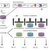 Dynamic loading schematic