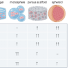 Engineering the MSC Secretome: A Hydrogel Focused Approach