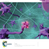 Soft matter cover