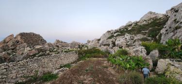  A rocky farm on the north side of Gozo