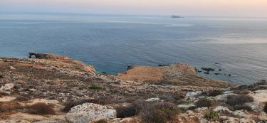 The islet of Filfla, as seen from the southern side of Malta near Mnajdra, a megalithic temple complex. Filfla is a conservation islet with heavily restricted access. Until 1971, the British Royal Navy and Royal Airforce used the islet for target practice. In 1988, the Filfla Nature Reserve Act was enacted to protect the islet's flora and fauna. A type of wall lizard (Podarcis filfolensis ssp. filfolensis) and door snail (Lampedusa imitatrix gattoi) are endemic to Filfla. 