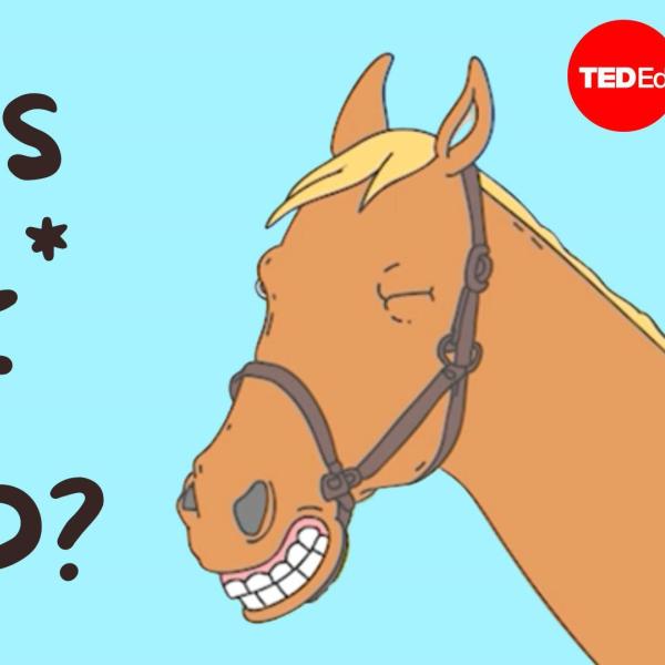 Ted Ed ad that says "mans real best friend?" with a cartoon horse