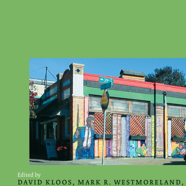 Provocative Images In Contemporary Islam Book Cover