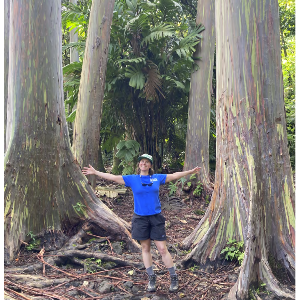 Page next to huge rainbow_eucaliptus-_trees