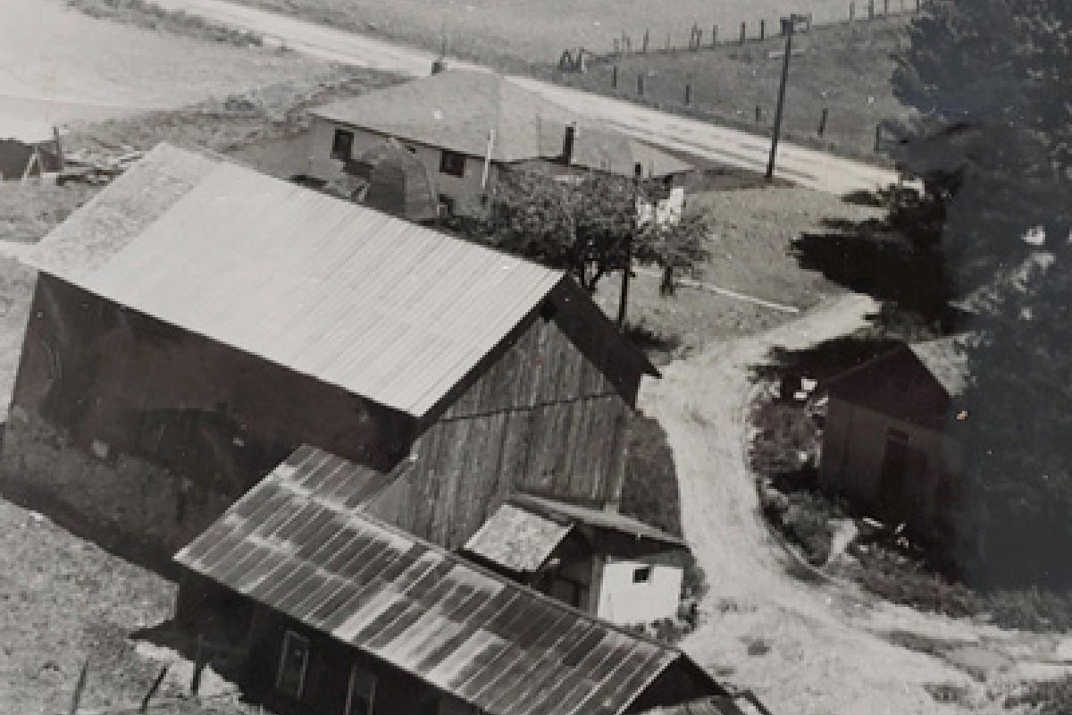 Black & white photo of a farm